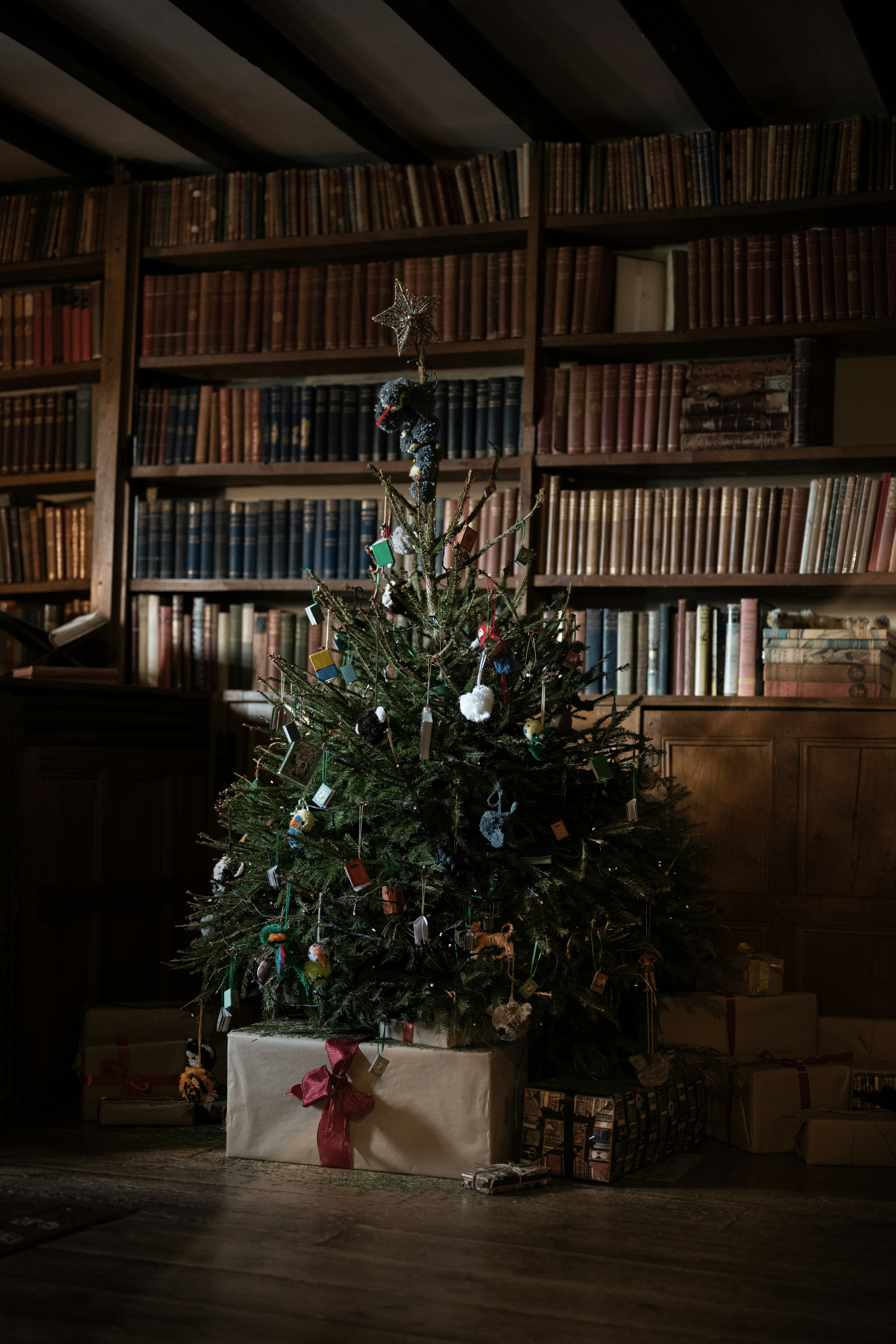 Reindeer House pt.19