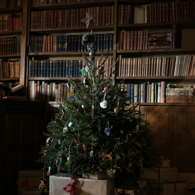 Reindeer House pt.19