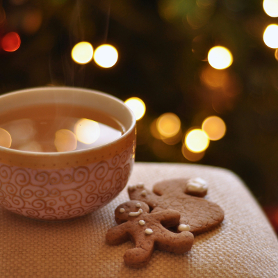 Reindeer House pt.22