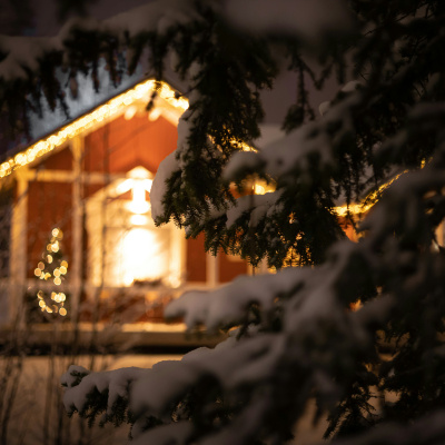 Reindeer House pt. 12