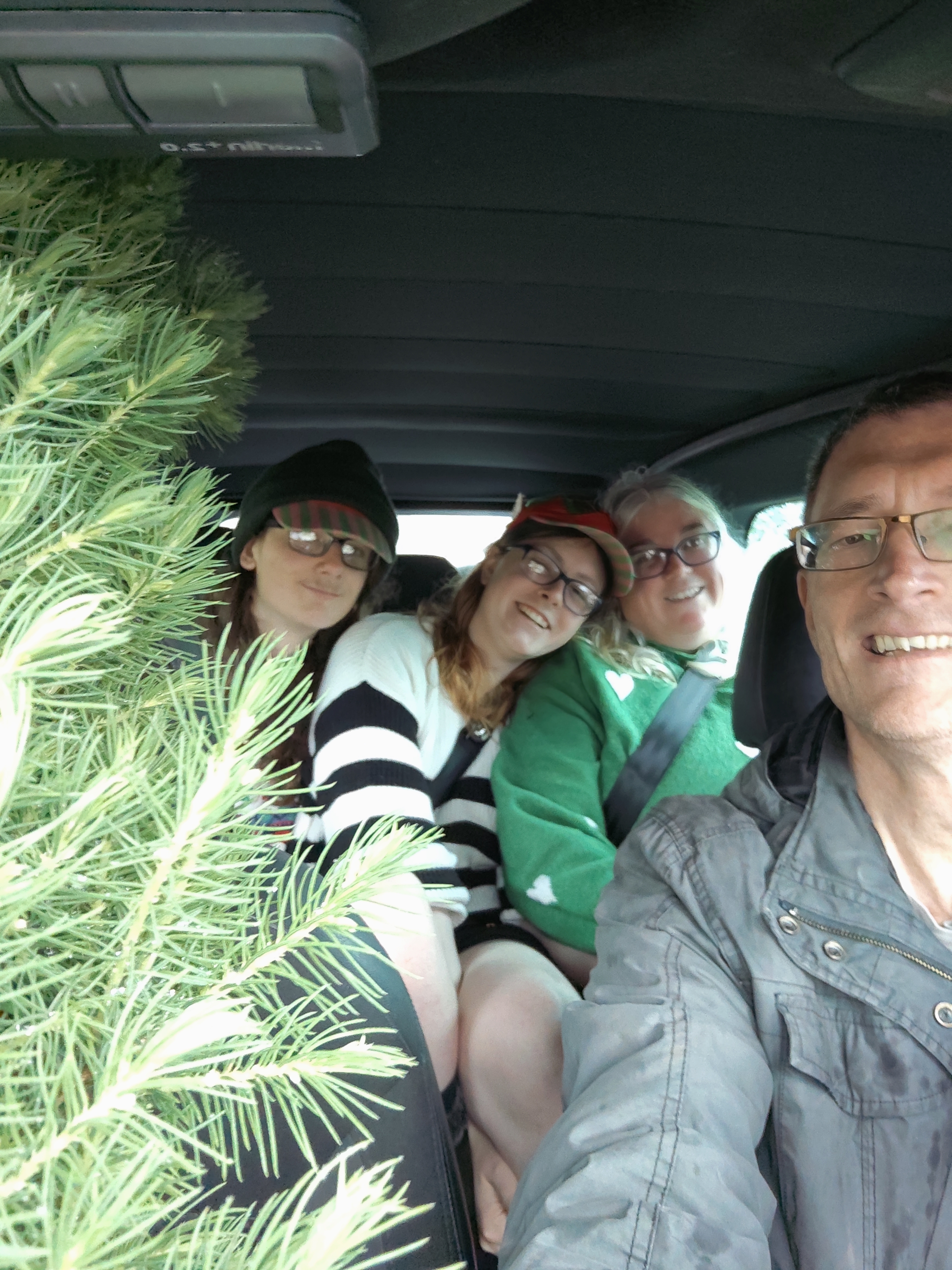 The Live Tree Adventure...