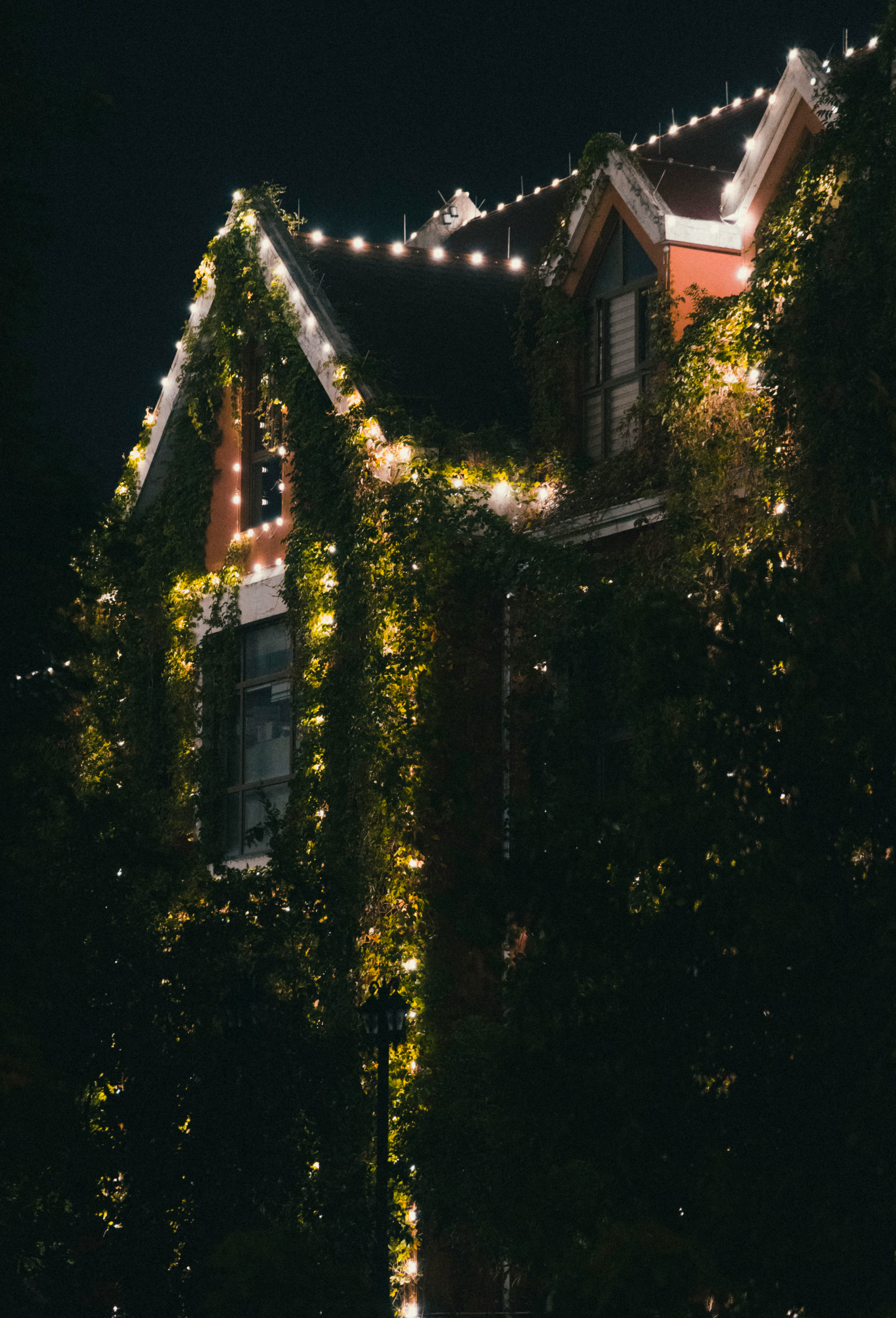 Reindeer House pt.22.5