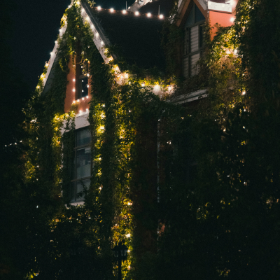Reindeer House pt.22.5
