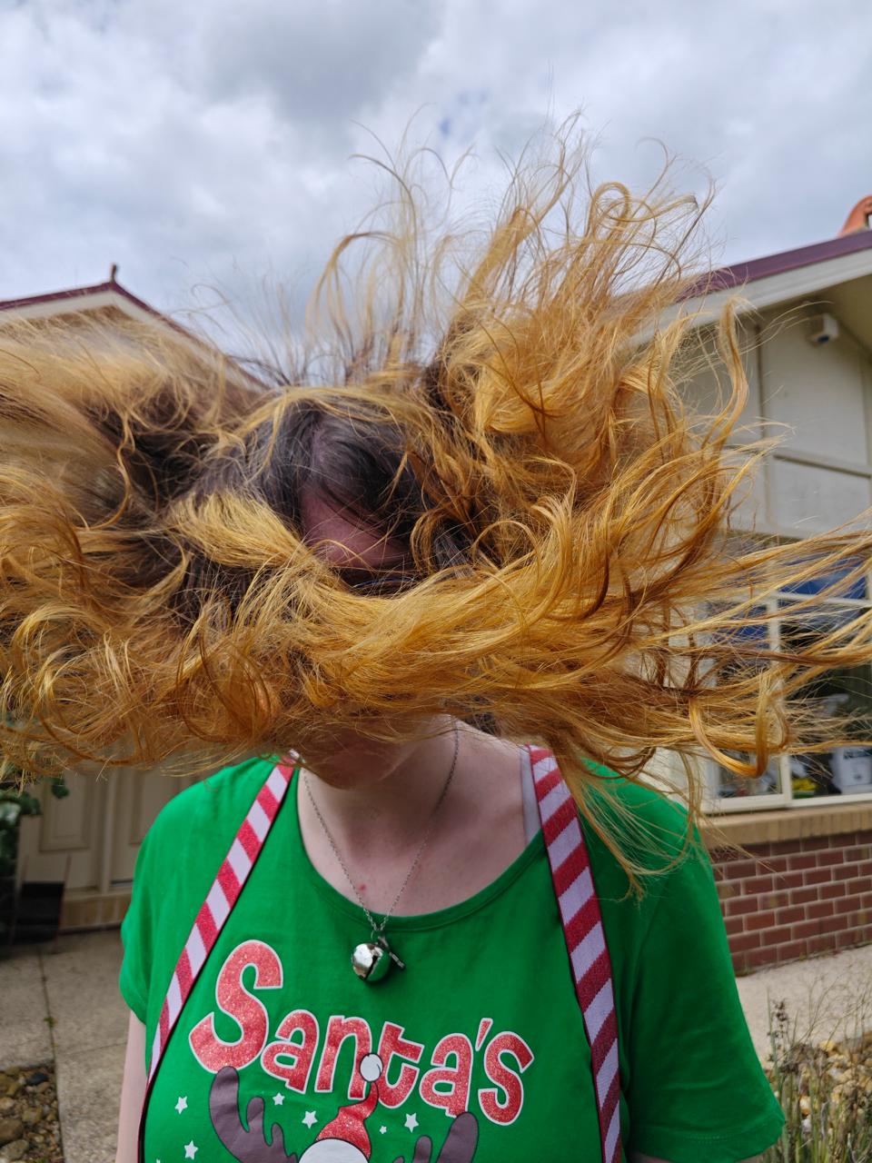 🌬️ The Great Tuesday Leaf-Blower Expedition 🌬️